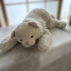 ホワイト キャット　ぬいぐるみAPPLAUSE AVANTI 1983年製 ホワイト キャット ぬいぐるみAPPLAUSE AVANTI 1983年製 - メルカリ