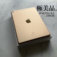 極美品】iPad Pro 9.7㌅ Wi-Fi Cellular 256GB - メルカリ