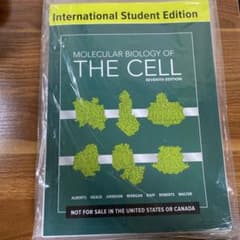 【細断済】Molecular Biology of THE CELLのサムネイル