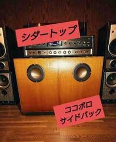 アコギ ギター ミニ アンプ　スピーカー シダー ココボロ　ハカランダ