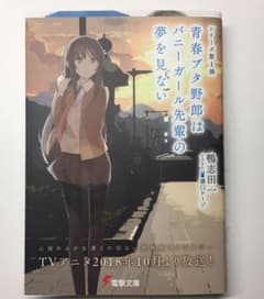 青春ブタ野郎はバニーガール先輩の夢を見ない 限定カバー付きのサムネイル