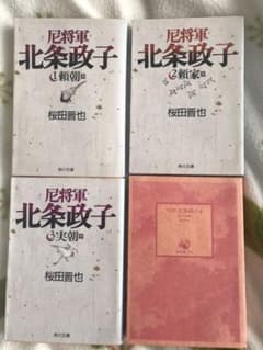 尼将軍北条政子 全４巻のサムネイル