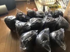 国試カットウィッグ練習用5頭のサムネイル