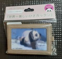【新品未使用】 シンシンとシャンシャンのレンチュキラーパスケースのサムネイル