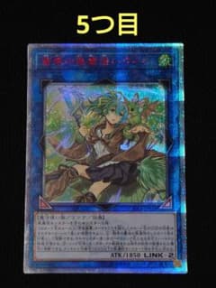 遊戯王 第10期 蒼翠の風霊使いウィン 20th シークレット 5つ目 座標