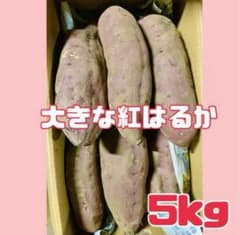 鹿児島県産さつまいも【大きな紅はるか5kg】のサムネイル