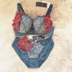 新品 ワコール サルート 34G◆ゼウス◆ブラジャー F70ソングM セット ワコール サルート F70セット 店舗限定 世界遺産 ストラスブール