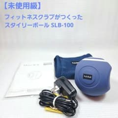 未使用級】フィットネスクラブがつくった スタイリーボール SLB-100