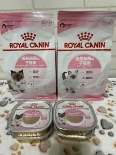 ロイヤルカナン成長前期後期 マザーキャットのサムネイル