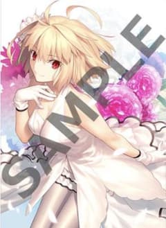 PS4/Switch 月姫 アニメイト購入特典B2タペストリー アルクェイド