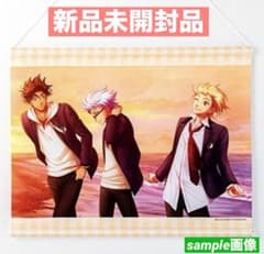 新品未開封】 ときメモGS4 颯砂希 本多行 氷室一紀 タペストリー 特典