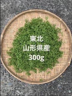 東北　山形県産　実山椒　300g 柔らかい　山椒のサムネイル