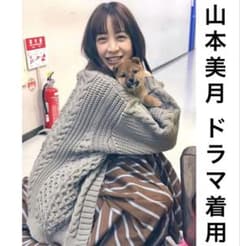 アダムエロペ カーディガン グレー 山本美月 着用 厚手 - メルカリ