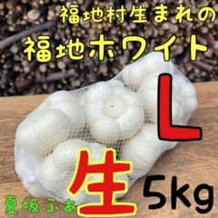 希少 福地村産 福地ホワイト 5L kg 青森県産 生にんにく 令和8年産