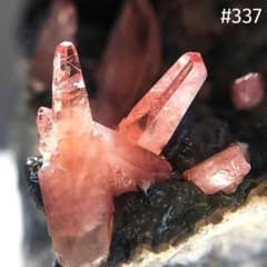 337 ロードクロサイト インカローズ 犬牙状 結晶 母岩付き 337 ロードクロサイト インカローズ 犬牙状 結晶 母岩付き - メルカリ