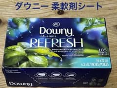 ダウニーインフュージョンボタニカルミスト103枚（乾燥機用柔軟仕上げ剤シート）のサムネイル