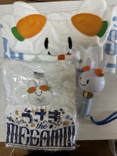 1st兎田ぺこらいぶ「うさぎ the MEGAMI!!」応援セット ペンライトのサムネイル