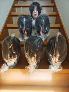 新品未使用】三矢 カットウィッグ 美容師実技試験対応 練習用 6体