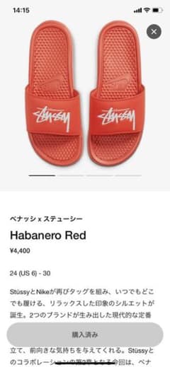 STUSSY NIKE ベナッシのサムネイル