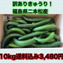 訳ありきゅうり！福島県二本松産 10kg。明日のみ発送！日付指定×のサムネイル