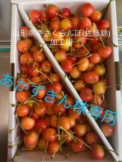 山形県産さくらんぼ (佐藤錦) あかずきん様専用のサムネイル