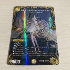 神聖龍 エモーショナル・ハードコア エモーショナルハードコア