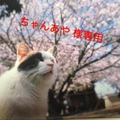 【ちゃんあや様  専用】黒子のバスケのサムネイル