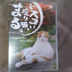 どスコい座り猫 まる。 DVD 養老孟司 - メルカリ