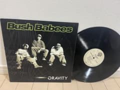 UKオリジナル Da Bush Babees Gravity LP レコード - メルカリ