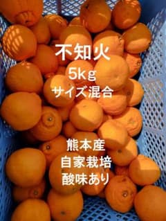 不知火 5kg サイズ混合 熊本産のサムネイル