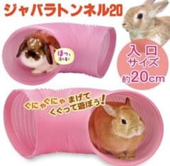 ジャバラトンネル20のサムネイル