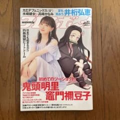 プレイボーイ 鬼頭明里 竈門禰豆子 - メルカリ