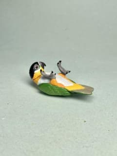 カプセルQ バードガーデン スジグロシロハラインコのサムネイル
