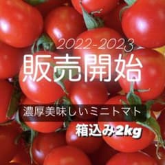 【メルカリ特別価格】濃厚美味しいミニトマト 箱込み2kgのサムネイル