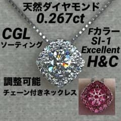 専用JJ225★高級 ダイヤモンド0.267ct プラチナ ネックレス ソ付 JJ225☆高級 ダイヤモンド0.267ct プラチナ ネックレス ソ付 - メルカリ