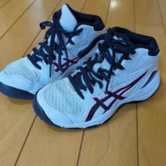 バッシュ　19cmのサムネイル