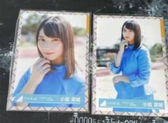 日向坂46のサムネイル