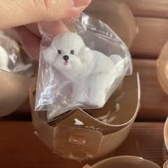 ふんばりーぬ2（ビションフリーゼ）2体目からは333円のサムネイル