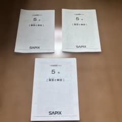 サピックス 5年 復習テスト 3月 7月 1月 SAPIX2025年〜2026年 - メルカリ