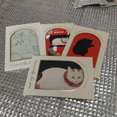 猫イラスト入り　 額縁風デザイン 封筒 4枚セットのサムネイル
