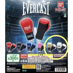 EVERLAST ボクシンググローブコレクション ゴールド　ホワイト【２種】のサムネイル