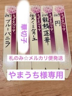 札のみ☆ミックスベリア おらいさん苗 龍鱗蓮華含む5枚セット - メルカリ