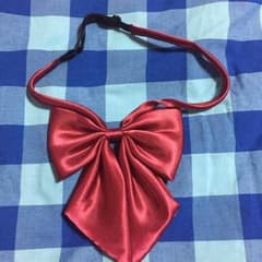 制服赤リボンのサムネイル