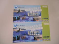 新江ノ島水族館 ご招待券 2枚セット 2026年9月30日迄 - メルカリ