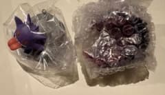 GEMSTONE COLLECTION 光り輝くしんぴのキセキ ゲンガー