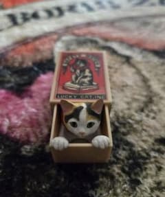 船橋つとむ マッチボックス猫 三毛 - メルカリ