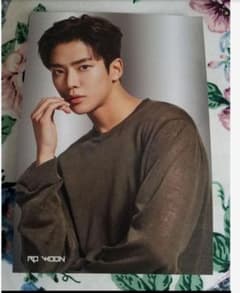 SF9 ロウンフライヤーのサムネイル