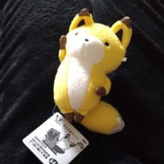 너구리와 여우