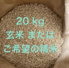 国産米　精米済（上白）　約20kg 玄米20kg（精米可〜18kg：1〜7ぶづき、白米、上白、無洗米）お米