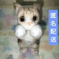 타치치 Zoo 냥코 mini 봉제인형 키 체인 고양이